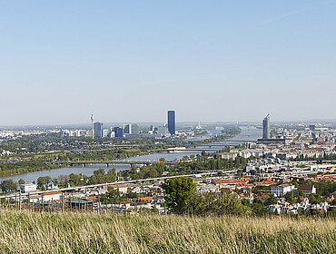 Blick auf Wien