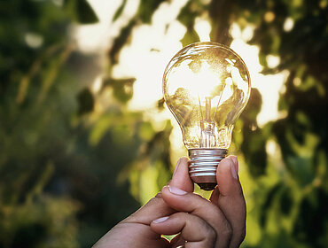 Hand hält Glühbirne; Natur