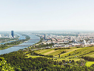 Panoramablick auf Wien, Österreich vom Kahlenberg