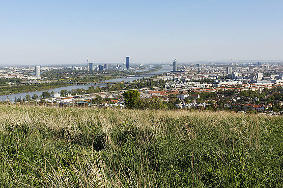 Blick auf Wien