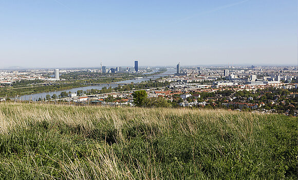 Blick auf Wien