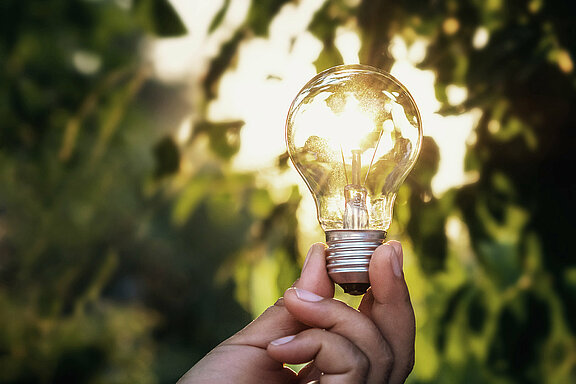 Hand hält Glühbirne; Natur