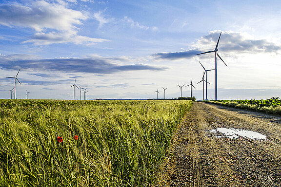 Windpark Parndorf, Feldweg, Österreich, Burgenland, Nordburgenland, Parndorf