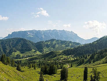 Landschaft Tirol