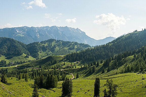 Landschaft Tirol