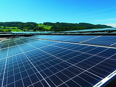 Energiegemeinschaften als Hebel für die grüne Transformation.