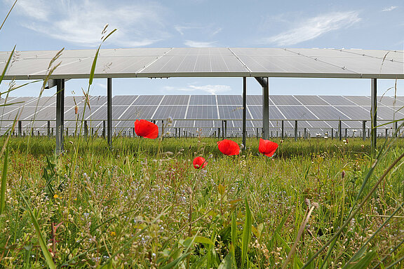 Photovoltaik-Anlage auf einem Feld