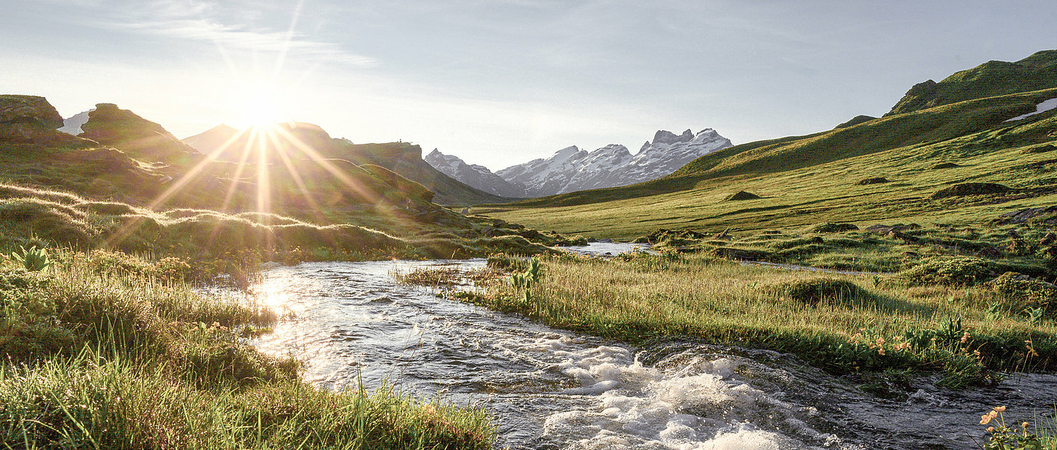Sonnenaufgang mit dem Blick auf den ein Bach und im Hintergurnd die Alpen