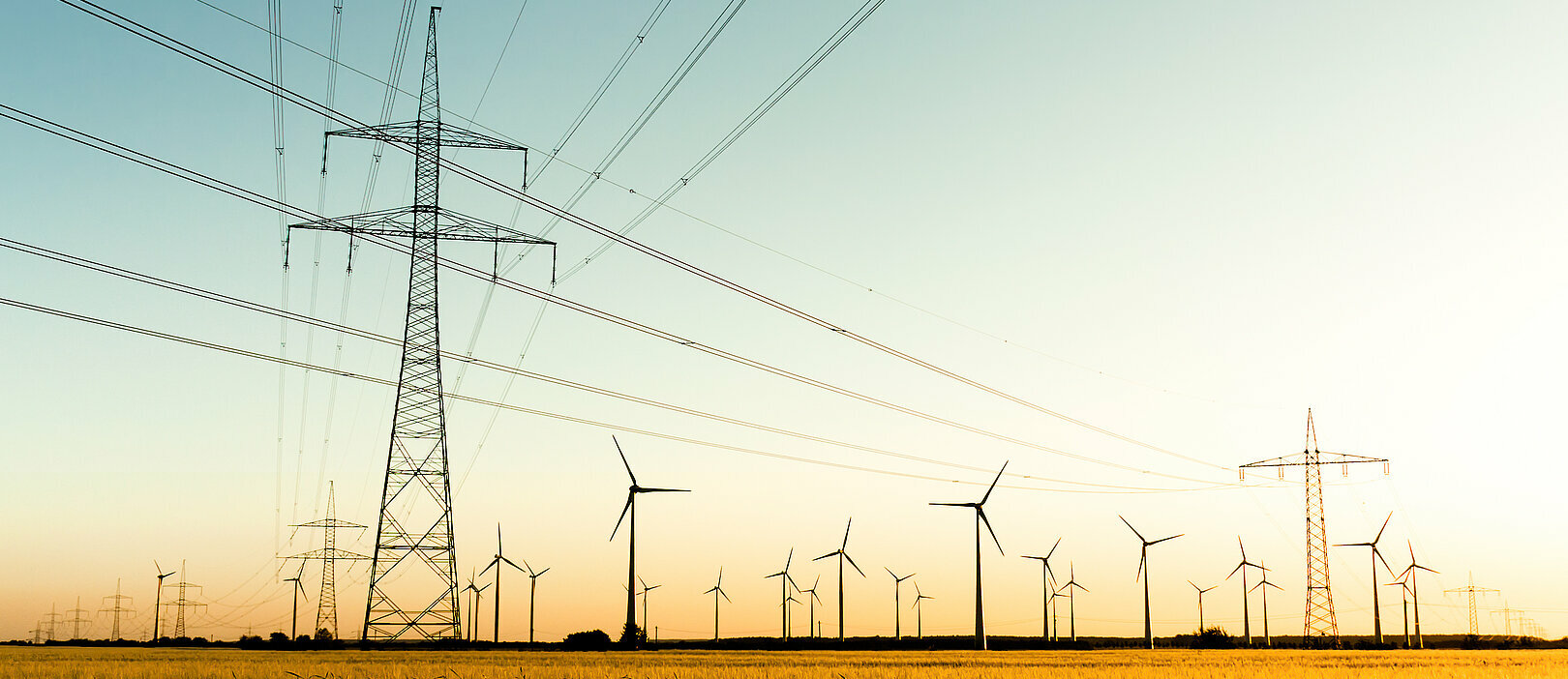 Strommasten, Kornfeld und Windräder im herbstlichen Gegenlicht Strommasten im Feld