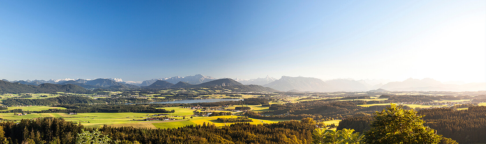 Bild im Seitenkopf