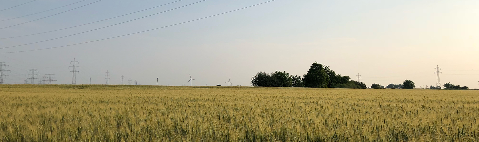 Bild im Seitenkopf
