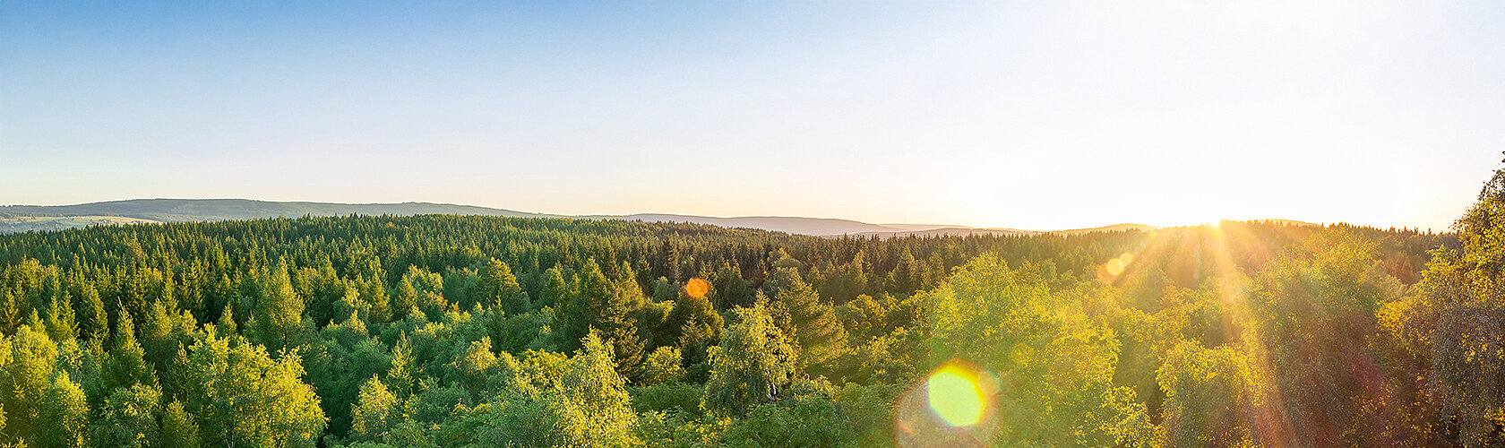 Bild im Seitenkopf