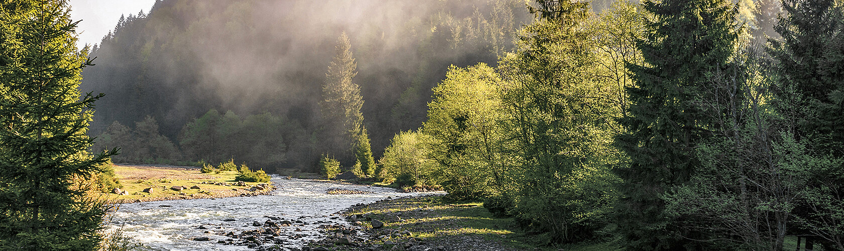 Bild im Seitenkopf